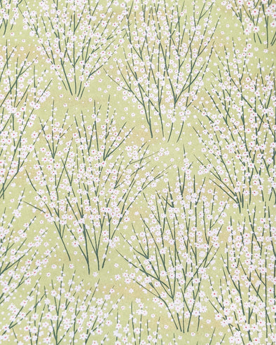 0677 White Flower Bushes on Yellow Green