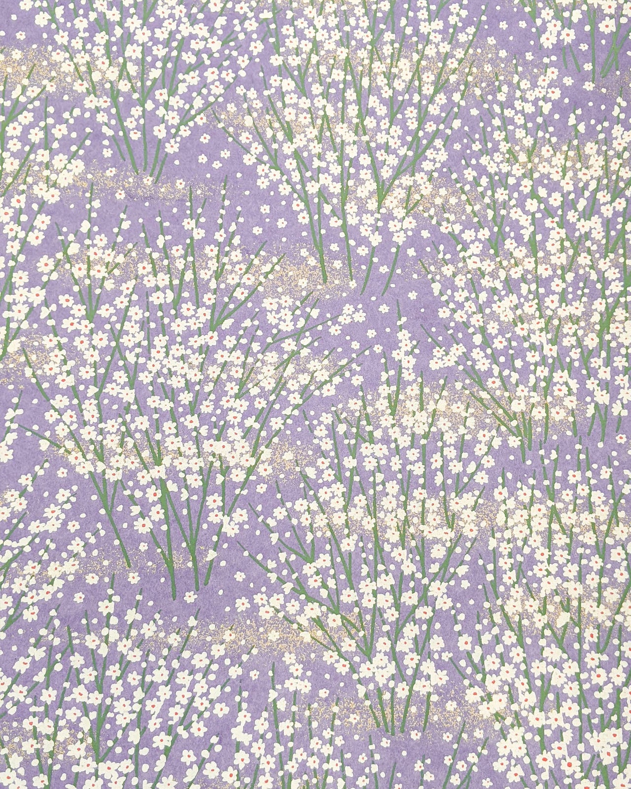 0679 White Flower Bushes on Purple