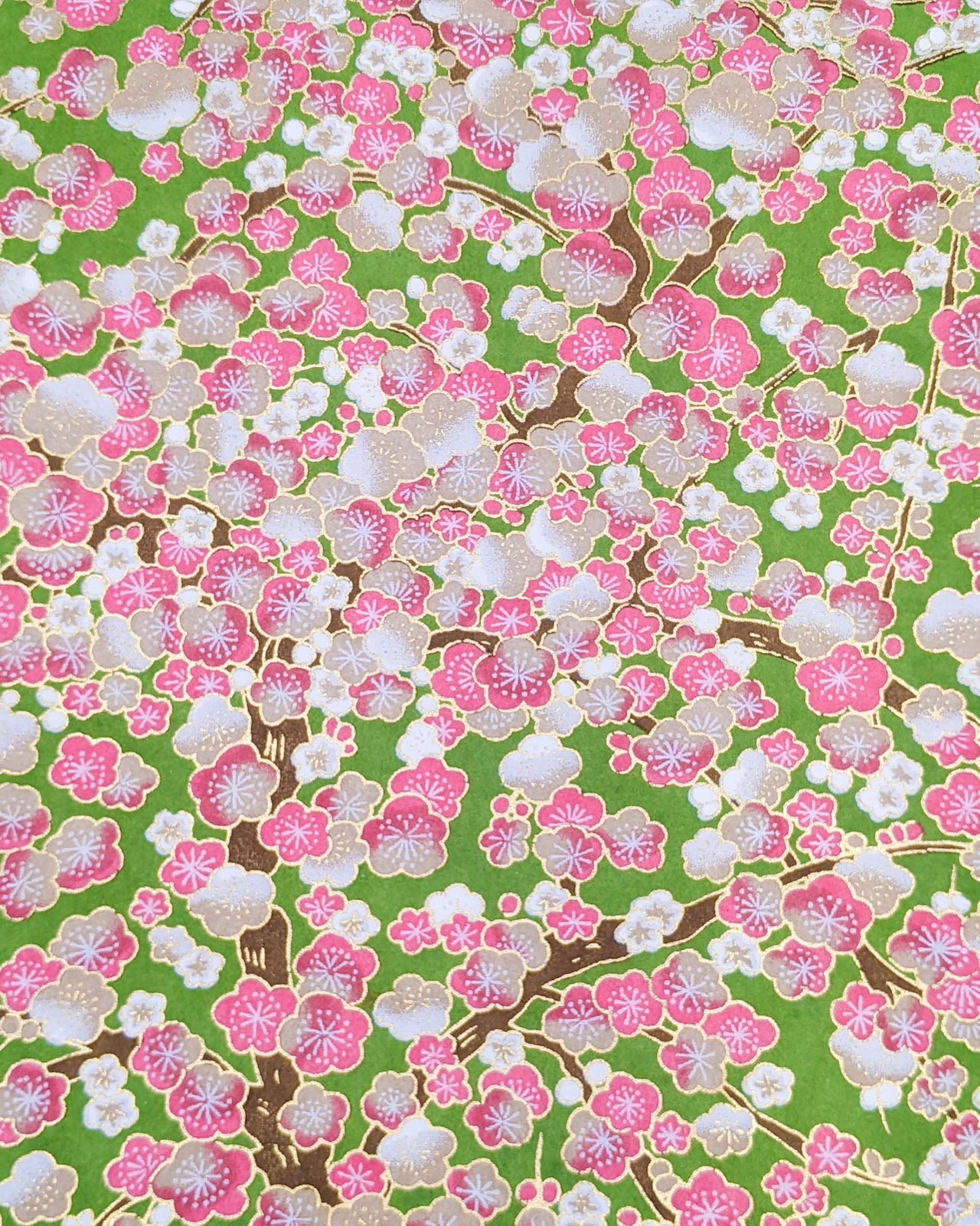 0718 Pink Plum Blossom Tree on Green