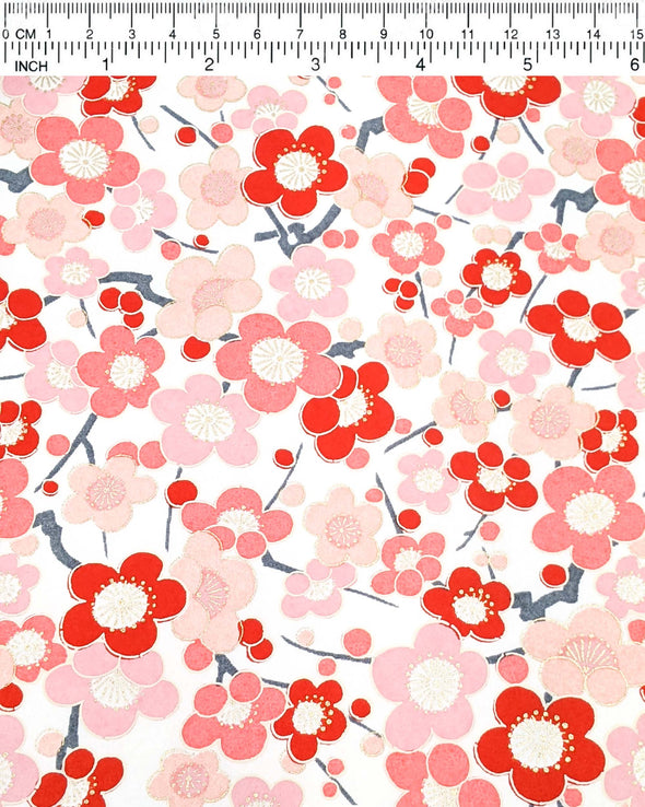 0774 Pink & Red Plum Blossoms on White