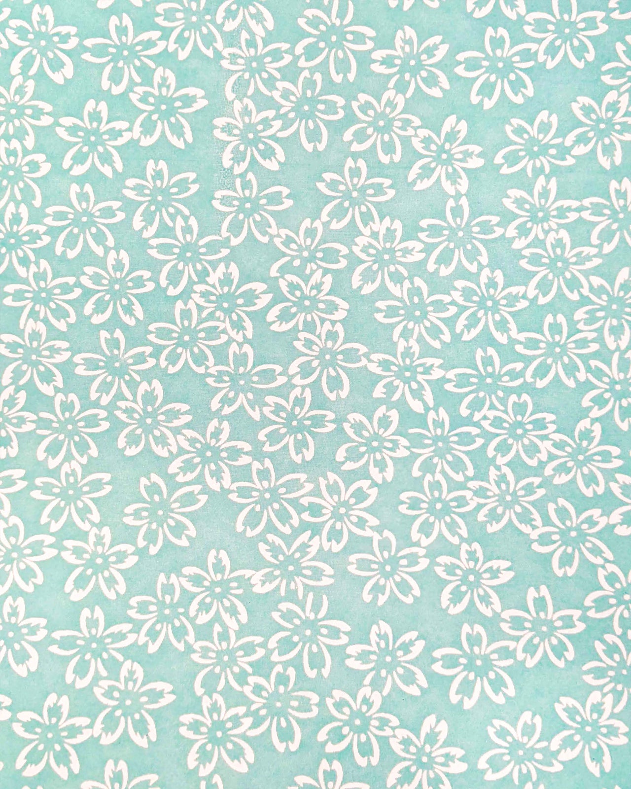 0780 Cherry Blossom Outlines on Light Blue