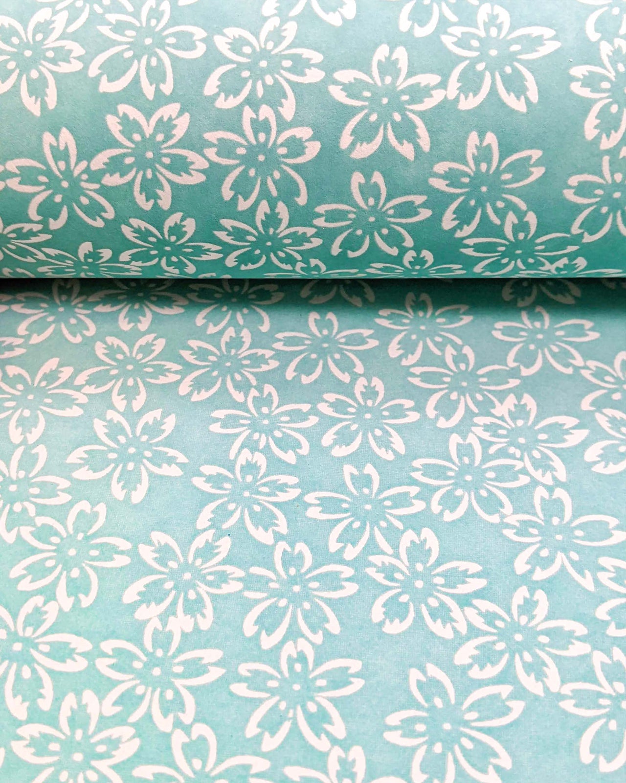 0780 Cherry Blossom Outlines on Light Blue