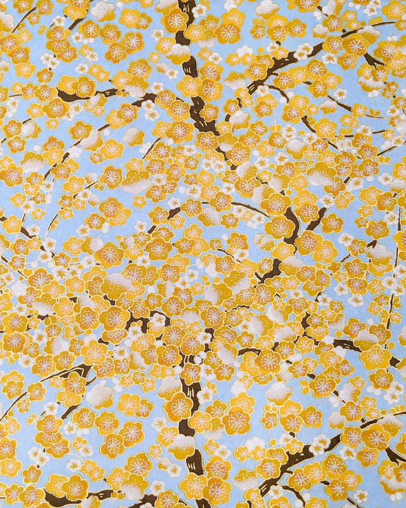 0806 Yellow Plum Blossom Tree on Blue
