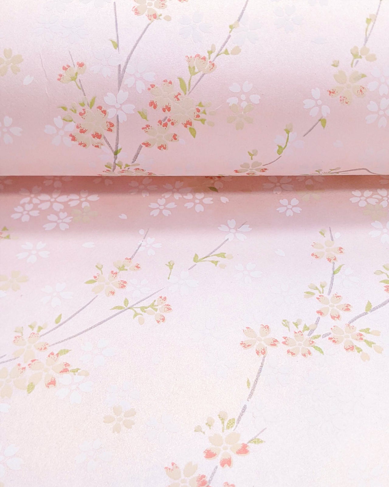 0809 Cherry Blossoms on Pearlescent Pink