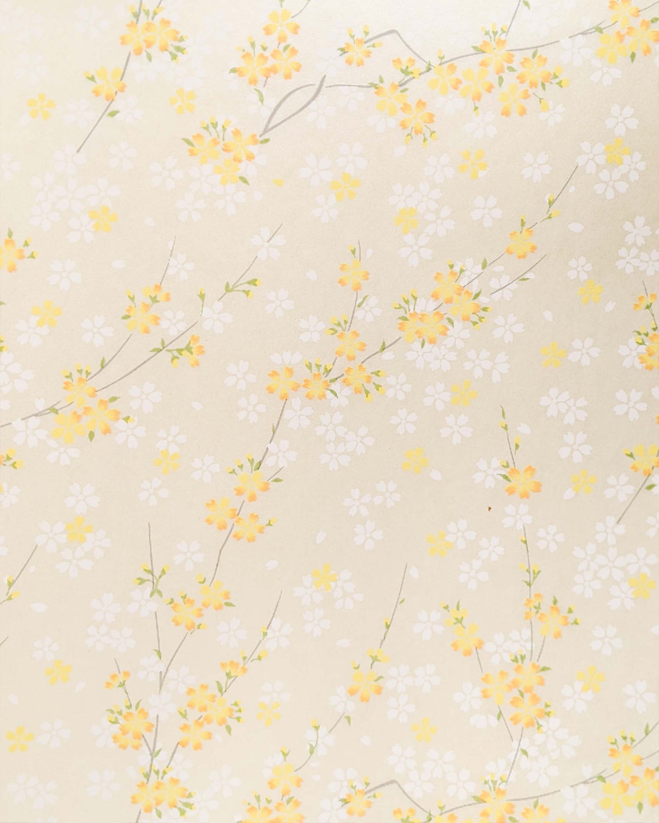 0810 Cherry Blossoms on Pearlescent Yellow