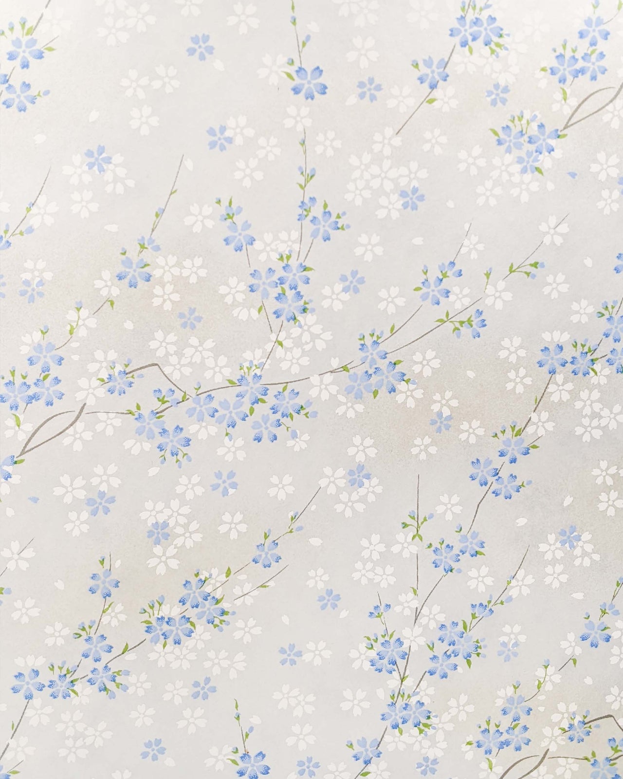 0811 Cherry Blossoms on Pearlescent Blue
