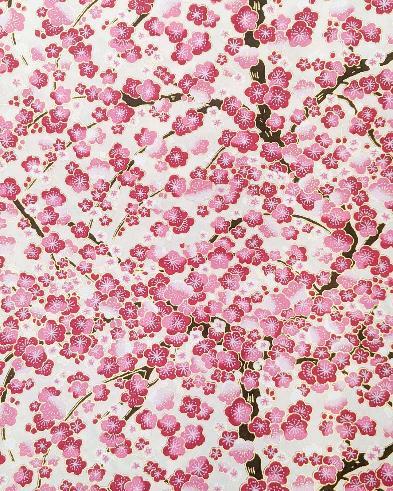 0884 Pink & White Plum Blossom Tree on Cream