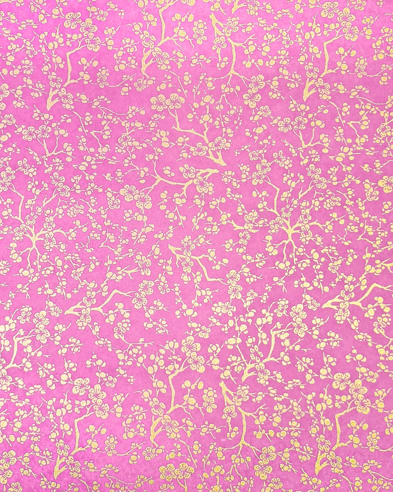 0972 Gold Plum Blossoms on Pink
