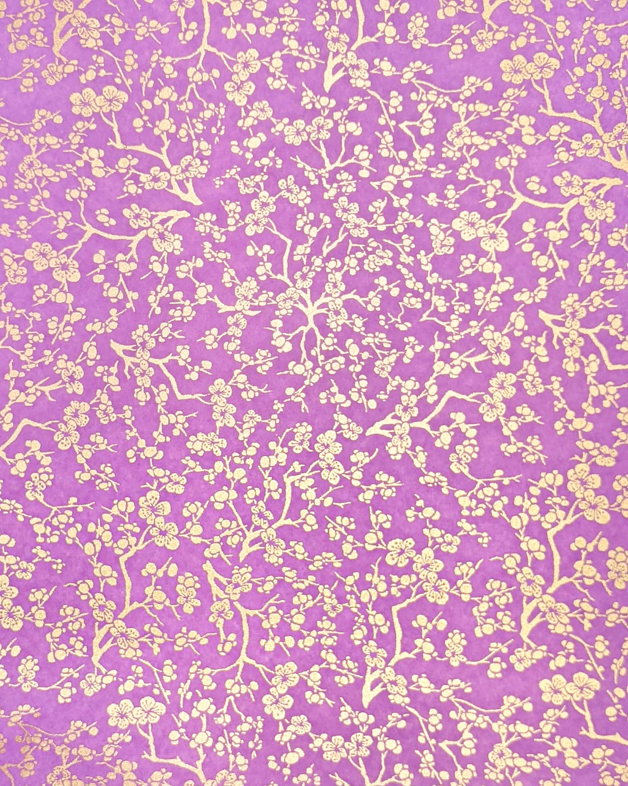 0973 Gold Plum Blossoms on Purple