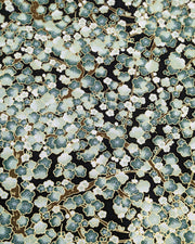 Japanese chiyogami paper featuring green plum blossom trees with brown branches on a black background with metallic gold details.