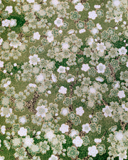 Japanese chiyogami paper featuring green and white cherry and plum blossoms with black branches on a green background with metallic gold details. 