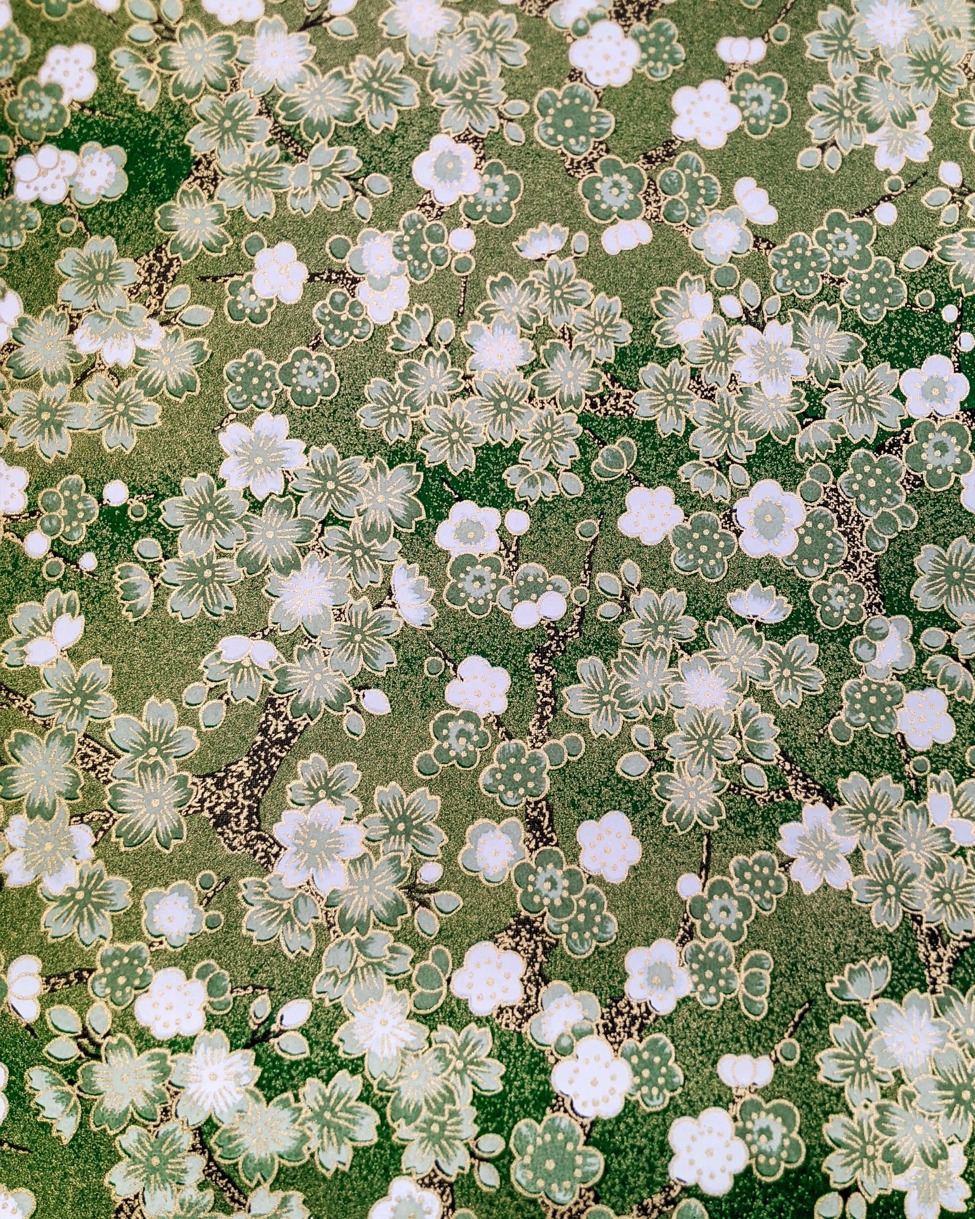 Japanese chiyogami paper featuring green and white cherry and plum blossoms with black branches on a green background with metallic gold details. 