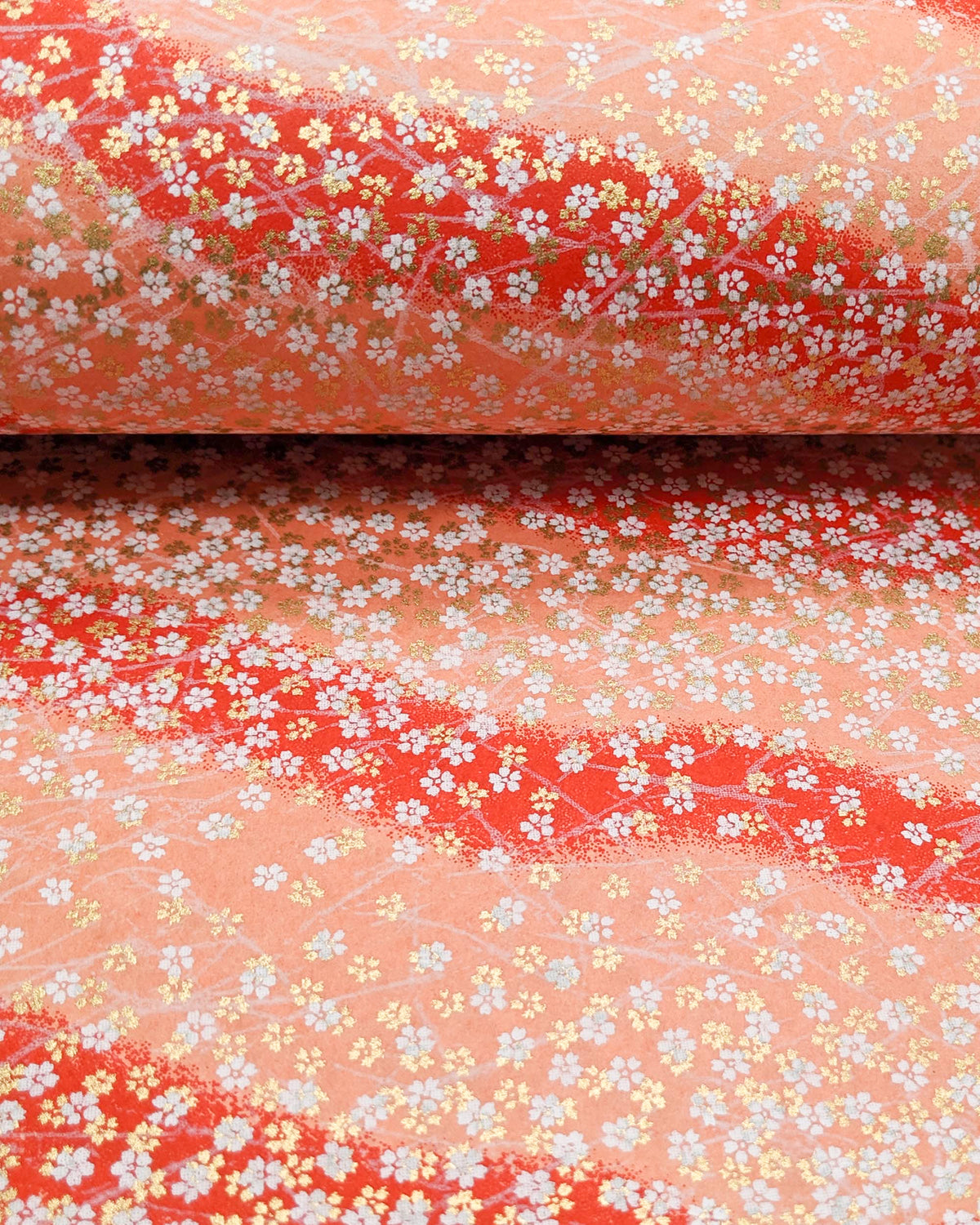 Japanese chiyogami paper featuring small white and metallic gold cherry blossoms on a gradient red background, shown rolled to highlight the design.