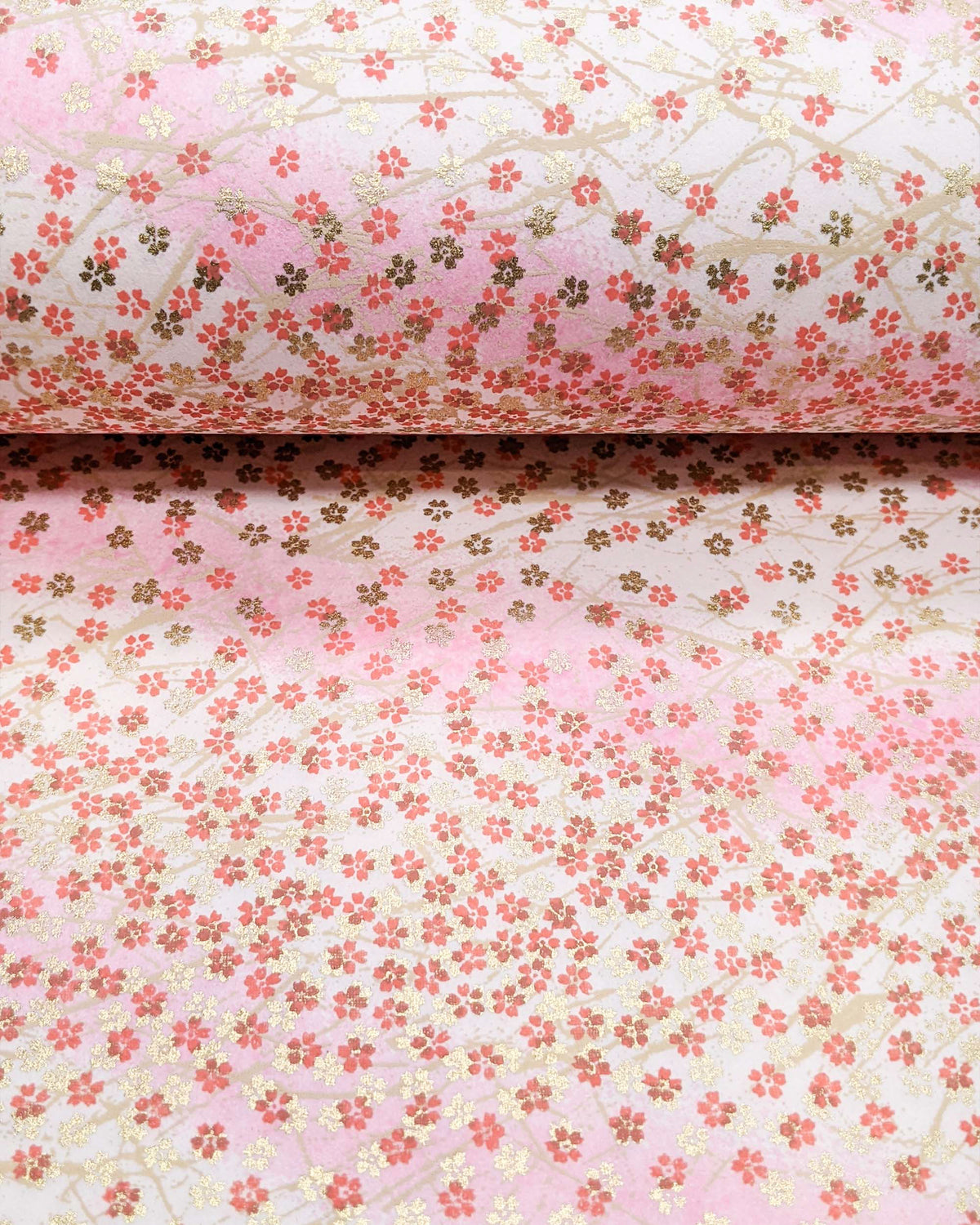 Japanese chiyogami paper featuring small red and metallic gold cherry blossoms on a gradient light pink background, shown rolled to highlight the design.
