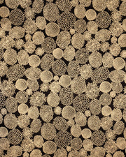 Japanese chiyogami paper featuring an assortment of small metallic gold chrysanthemums on a black background.