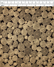 Japanese chiyogami paper featuring an assortment of small metallic gold chrysanthemums on a black background, shown next to a ruler for size reference.